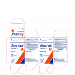 Ateceftan 1g (Cefmetazol 1g)