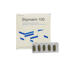 Silymarin 100
