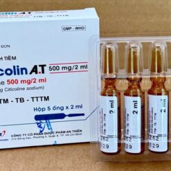 Citicolin A.T 500 mg/2 ml